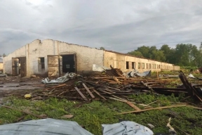 В Псковской области ураган снёс крыши животноводческих комплексов и частных домов