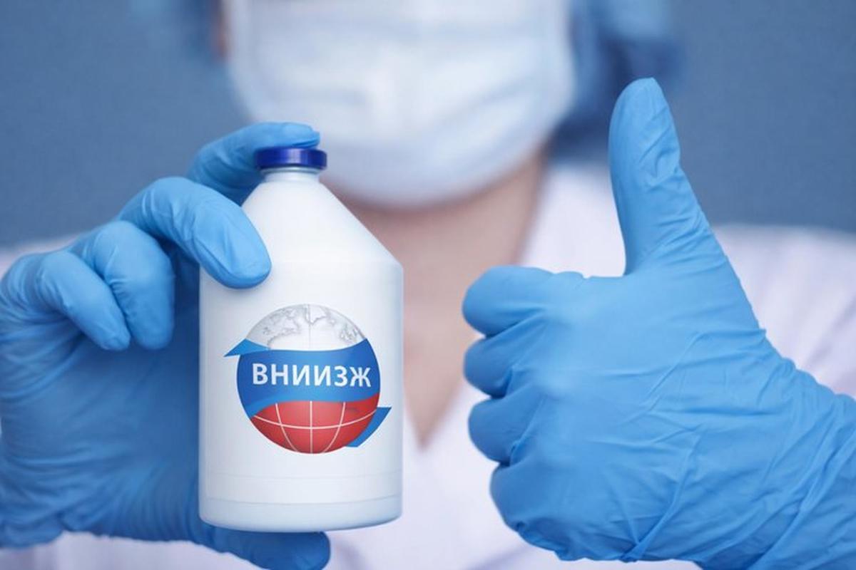 ВНИИЗЖ разработал новую комбо-вакцину для профилактики респираторных вирусных инфекций КРС