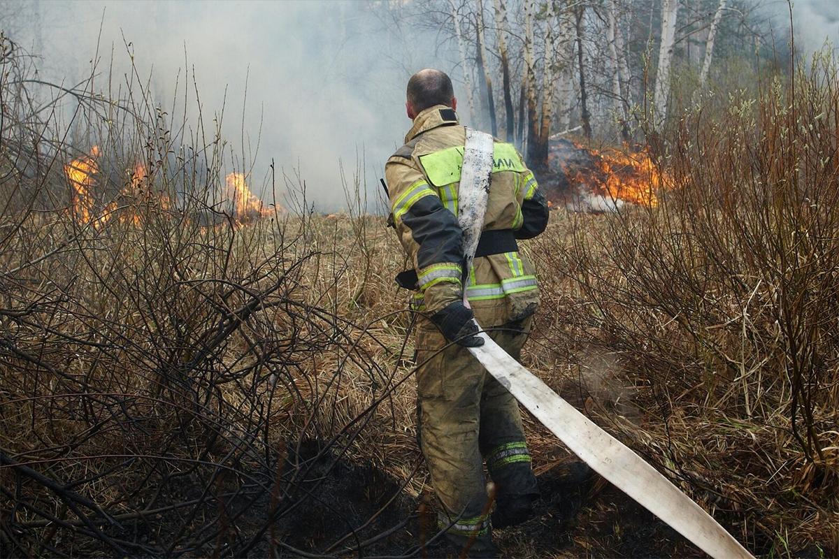 В Приморье за выходные площадь природных пожаров сократилась до 16 гектаров