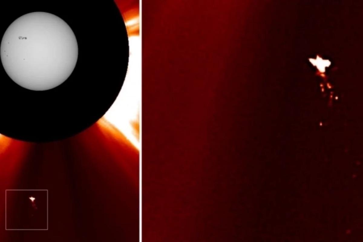 Тайна «космической птицы» у Солнца: что за объект запечатлели ученые?