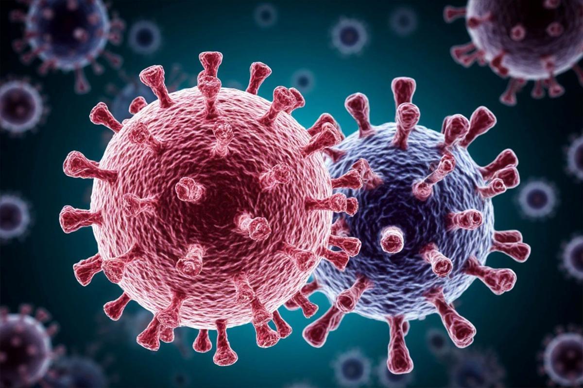 Ученые обнаружили в Африке новый коронавирус, способный заражать людей