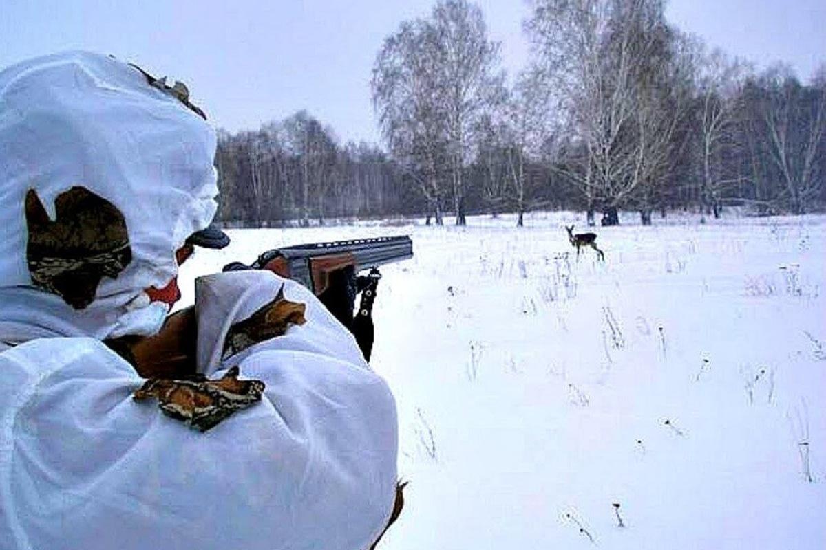 В Липецкой области задержали браконьеров, отстреливавших косуль