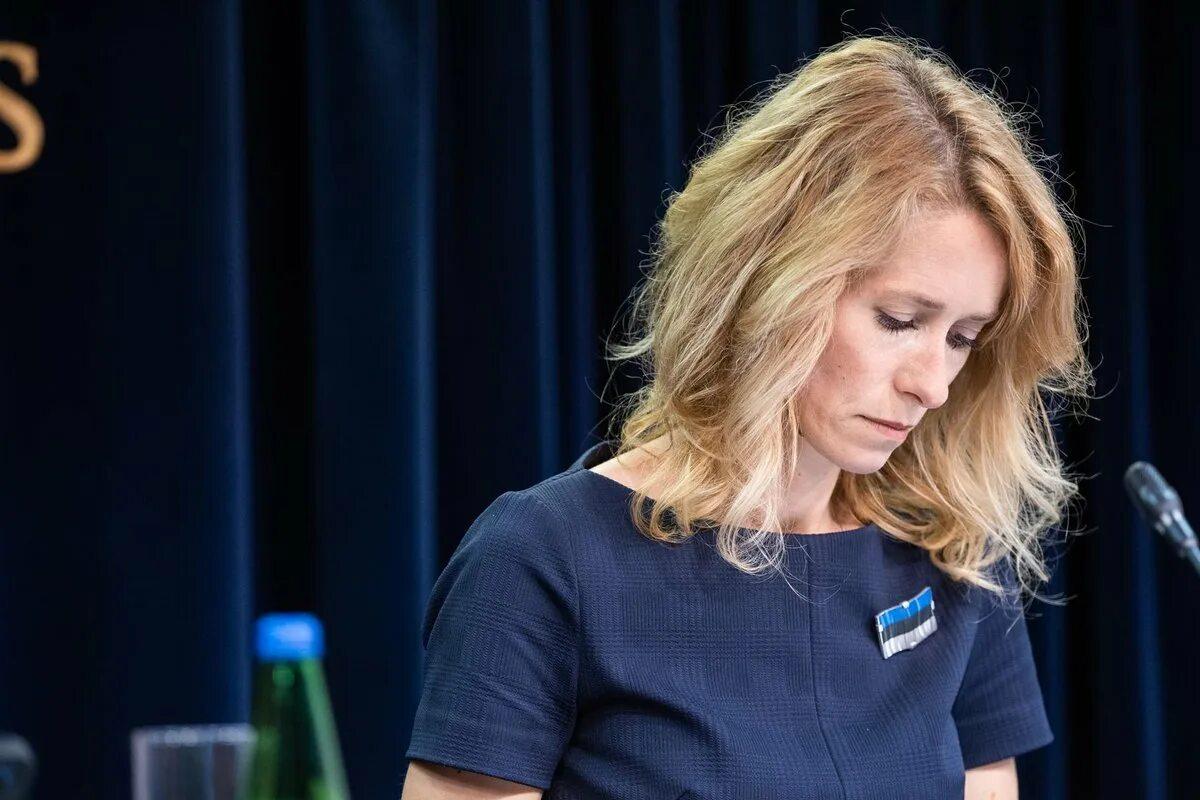 «Хомяк умнее». Евродепутат унизил Каю Каллас за 60 секунд