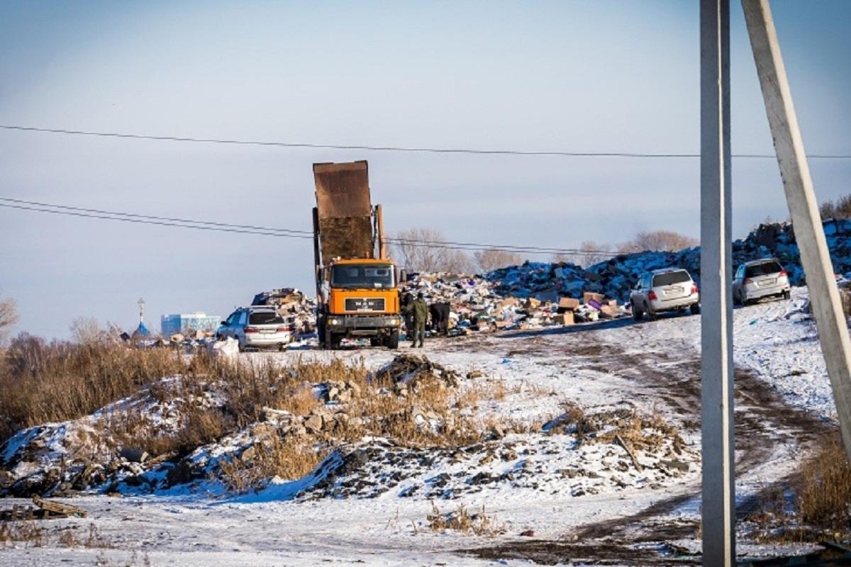 На полигоне ТБО в Новосибирске выявили избыток мышьяка и хрома