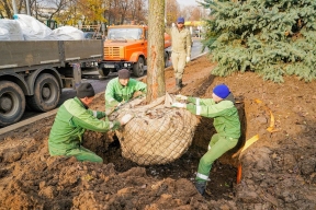 Благодаря ряду программ в Москве высадили около 13 млн растений в период с 2011 года