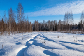 В Мордовии побит рекорд по количеству осадков