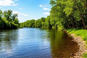 Жители Сахалина обнаружили страшную находку на берегу реки