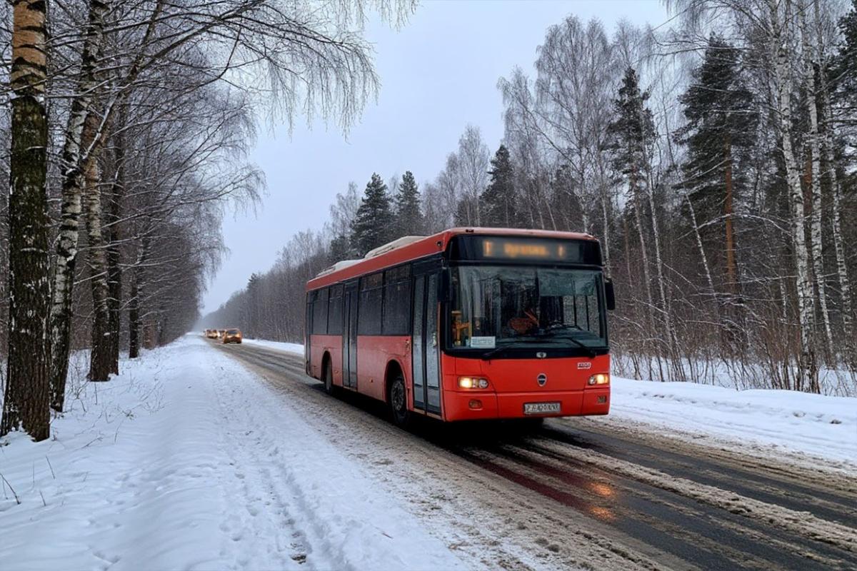 В ЕАО запустили пять автобусных маршрутов, а дорога на Головино осталась в снежном плену