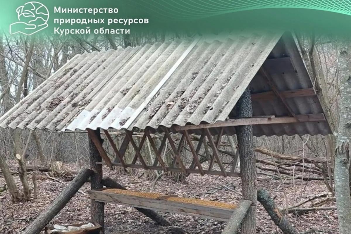 Более 150 проверок за неделю: в Курской области усилили контроль за соблюдением правил охоты