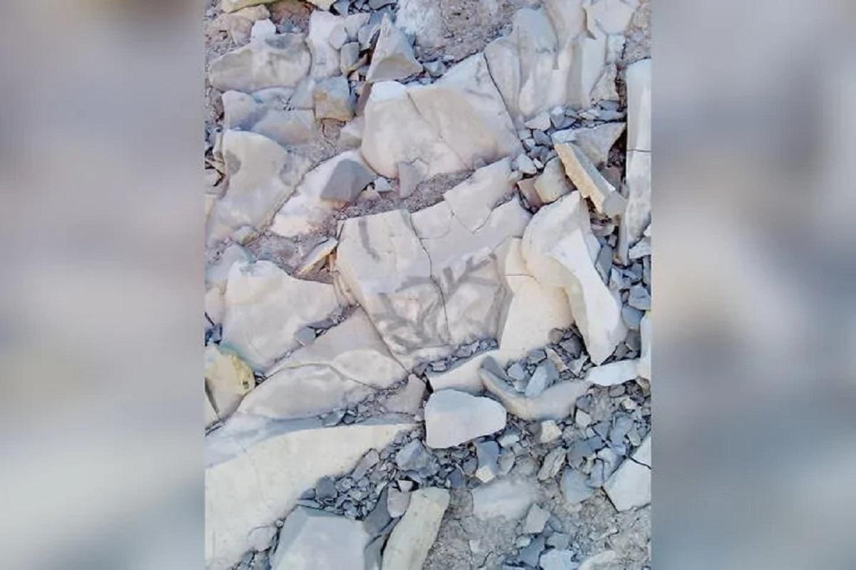 В Канаде нашли окаменелости, пересматривающие масштаб «котлинского кризиса»