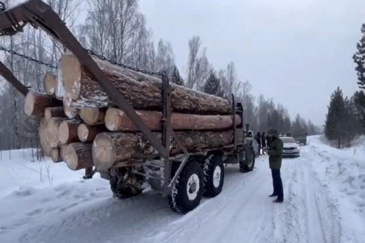 В Новосибирской области внедрили новую систему мониторинга лесного комплекса