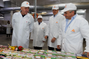 Глава КЧР Рашид Т емрезов: Развитие овцеводства и переработки сельхозпродукции имеет стратегическое значение для республики