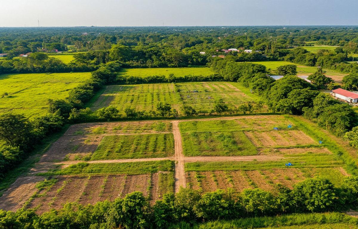 Почти 160 объектов выставили на торги в Московской области