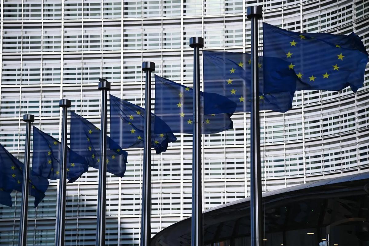 Дипломат из Индии указал на разлад между Макроном, Мерцем и Каллас