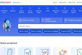 Ряду пользователей вход на «Госуслуги» теперь возможен только через МАХ