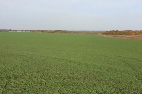 Аграрии не зафиксировали гибель озимых культур на полях Тамбовской области