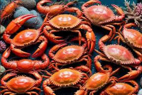 «Слепота из тарелки»: вирус креветок и крабов неожиданно начал поражать глаза людей в Китае