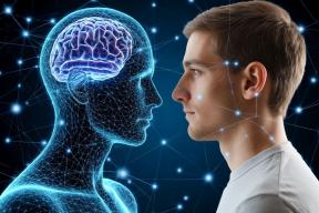 «Фастфуд для мозга»: почему нейросети не уравнивают шансы, а закрепляют неравенство между детьми