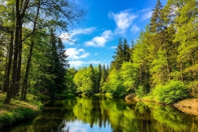 12,5 миллиарда на парки: как Подмосковье за 7 лет преобразило 500 зон отдыха и что построят в 2026 году