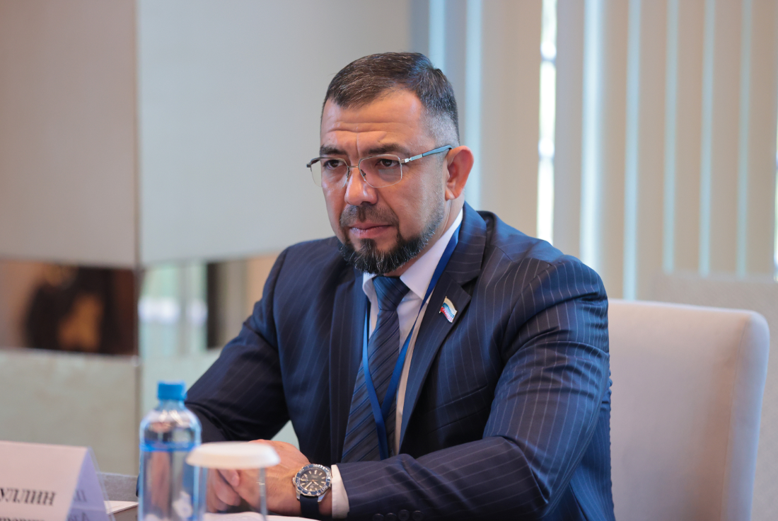 Инициатива депутата регионального парламента Азата Шафигуллина, направленная на защиту прав семей с детьми, поддержана на заседании комитета ЮРПА по бюджету, налогам и собственности