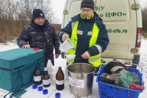 В Липецком Росприроднадзоре нашли виновных в загрязнении Дона