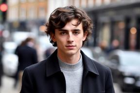 Тимоти Шаламе для прогулки выбрал сумку за миллион рублей