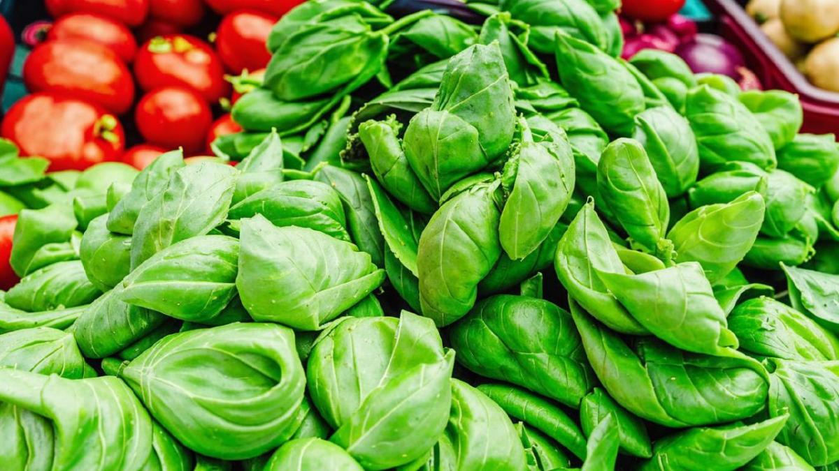 Профессор Детвайлер: Упакованная зелень остается одним из самых опасных продуктов