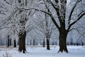 Несмотря на мороз в Челябинске не стали отменять занятия в школах