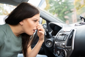 Expert Titova gave tips on how to get rid of unpleasant odor in the car interior