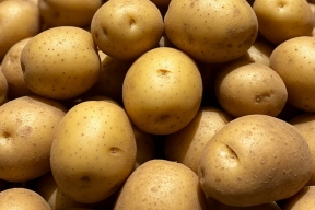 Через Бурятию в Монголию отправили 500 тонн проверенного картофеля